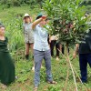 Lãnh đạo UBND xã Mường Thín kiểm tra tình hình sinh trưởng và phát triển của cây Mắc ca trồng năm 2023 trên địa bàn xã.